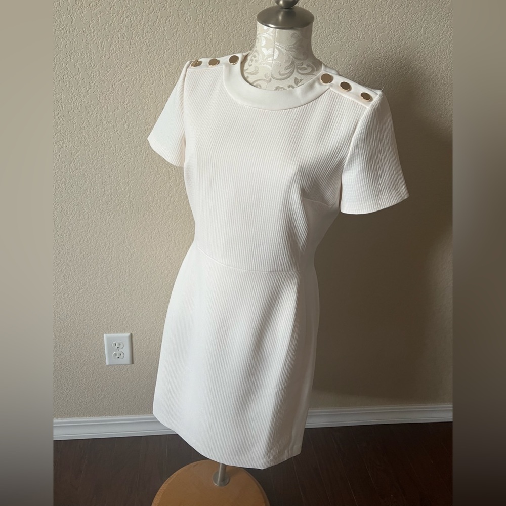 Club Monaco Dress
